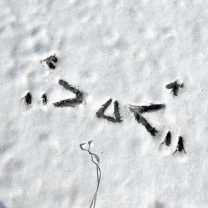 娇小白人女vs巨大黑人
