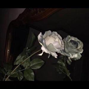 娇小白人女vs巨大黑人
