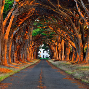 娇小白人女vs巨大黑人
