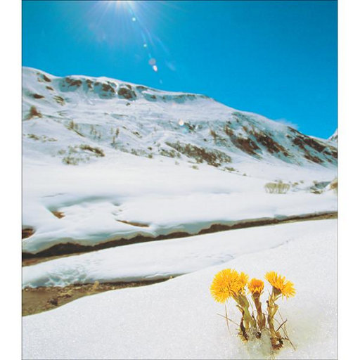 娇小白人女vs巨大黑人
